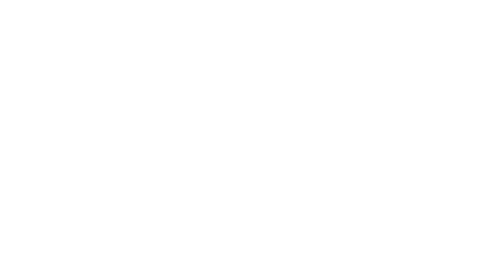 Polished Stones Coaching